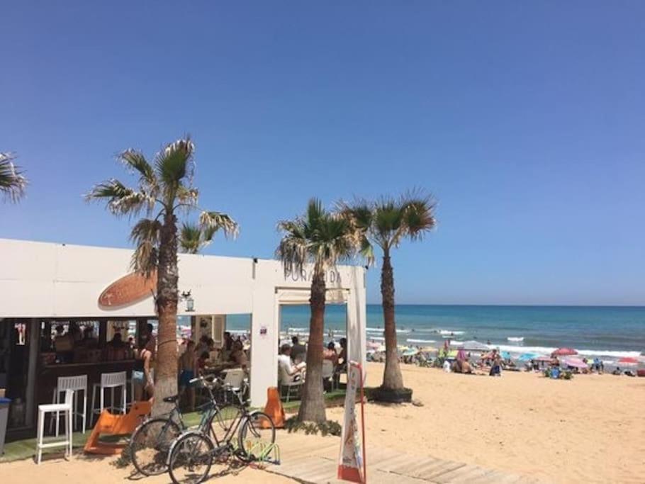 Brand New Apartment. 400 Meters Best Beach تورّيفيِخا المظهر الخارجي الصورة