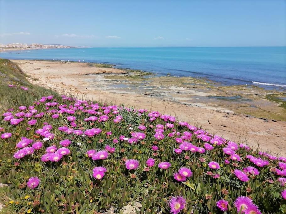 Brand New Apartment. 400 Meters Best Beach تورّيفيِخا المظهر الخارجي الصورة